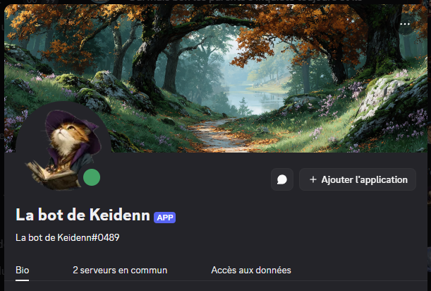 profil robot discord